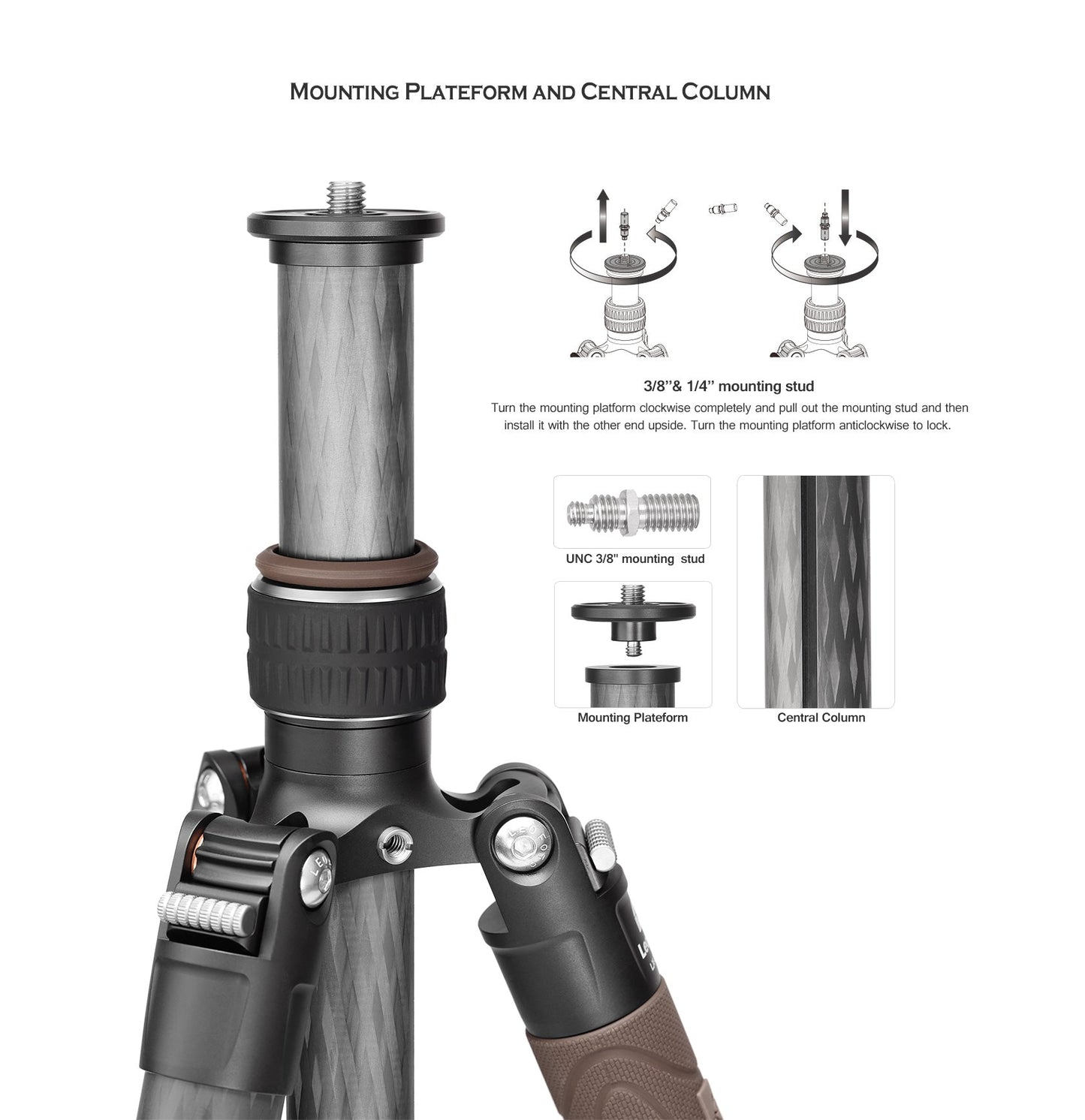 
                  
                    Leofoto LX-284CT+BV-5B Reversible Travel Tripod + Bino Fluid Head Kit
                  
                
