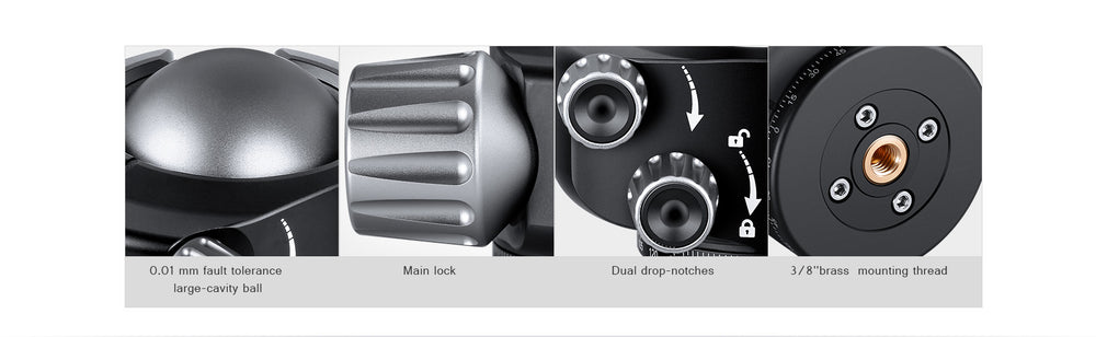 
                  
                    Leofoto LH Series Low Profile Ball Head + QR Plate | Arca Compatible
                  
                